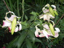 P7163888