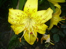P7163889