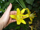 P7163890