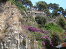 DSC05792