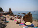 DSC05797