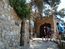 DSC05822