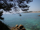DSC05831