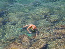 DSC05834