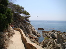 DSC05843
