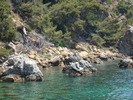 DSC05851