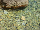 DSC05855