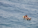 DSC05856
