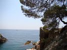 DSC05860