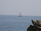 DSC05864