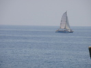 DSC05866