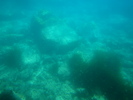 DSC06844
