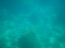 DSC06848