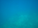 DSC06885