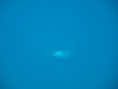 DSC06919