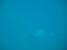 DSC06925