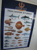DSC06945