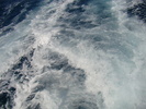 DSC06954