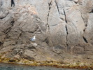 DSC06981