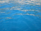 DSC06989