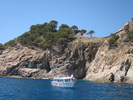 DSC07018