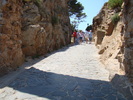 DSC07060