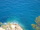 DSC07075