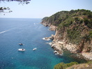 DSC07109