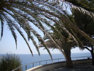 DSC07114