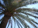 DSC07119