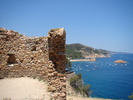 DSC07131