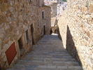 DSC07143