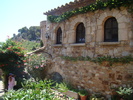 DSC07147