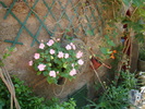 DSC07150