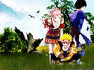 Team 7