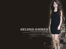 selena-gomez-selena-gomez-11431098-1024-768