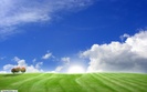 9334_World_Site1280_800