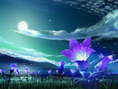Best 3D Wallpaper in The Word 3D Nature Picture