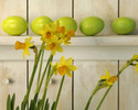 Imagini Wallpapers cu Oua de Pasti Poze Desktop Oua Colorate