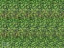 stereograms 098