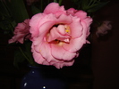 DSC02988