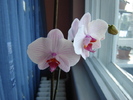DSC03138