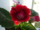 DSC03130