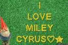 i love MILEY CYRUS