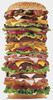 tall-hamburger[1]