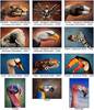 hand-paintings-daniele-2