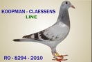 8294 Koopman-Claessens