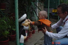 Picture 007