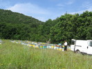 la tei 2010