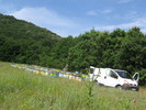 la tei 2010